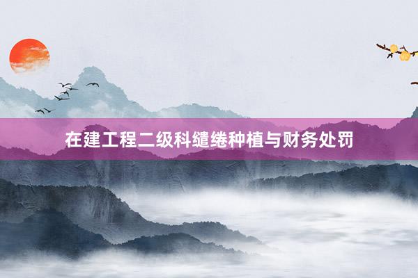 在建工程二级科缱绻种植与财务处罚